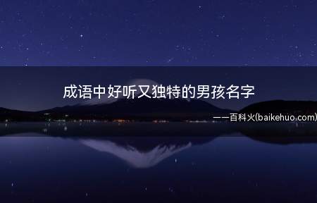成语中好听又独特的男孩名字