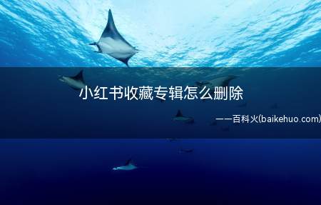 小红书收藏专辑怎么删除(演示机型:Iphone 12)