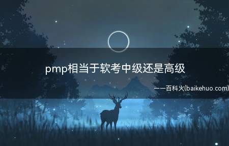 pmp相当于软考中级还是高级