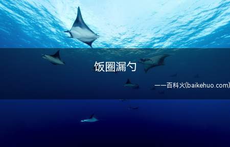 饭圈漏勺是什么意思（容易说漏嘴的人）