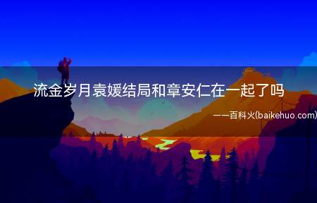 流金岁月袁媛结局和章安仁在一起了吗