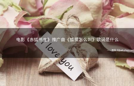电影《赤狐书生》推广曲《狐狸怎么叫》歌词是什么