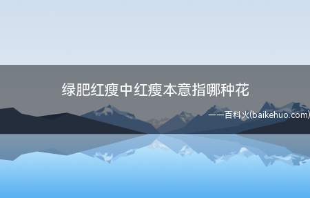 绿肥红瘦中红瘦本意指哪种花（知否知否应是绿肥红瘦中红瘦本意指哪种花）