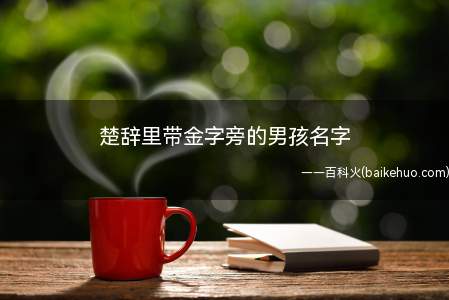 楚辞里带金字旁的男孩名字（楚辞里等带金字旁的男孩名字大全）