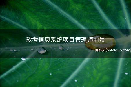 软考信息系统项目管理师前景(软考信息系统项目管理师前景怎么样)