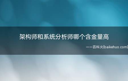 架构师和系统分析师哪个含金量高