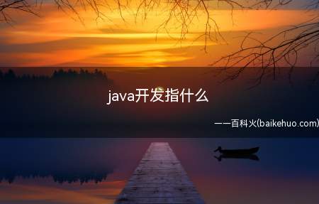 java开发指什么(拓展:java学习看什么书)