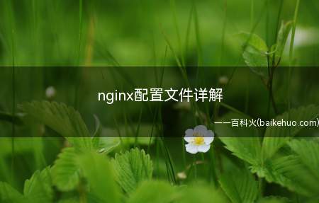 nginx配置文件详解（centos8nginx配置文件详解）