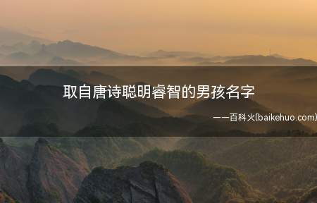 取自唐诗聪明睿智的男孩名字(取自唐诗聪明睿智的男孩名字有哪些)