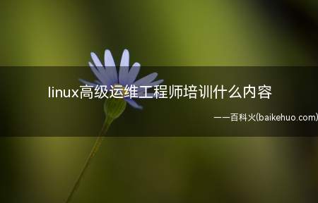 linux高级运维工程师培训什么内容（Linux云计算架构师培训内容）