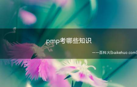 pmp考哪些知识(拓展:pmp考试费用多少)