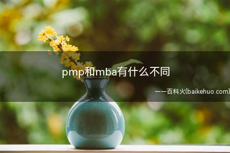 pmp和mba有什么不同