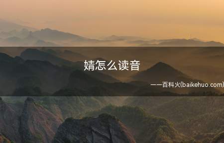 婧怎么读音(“婧”这个字的读音是(j)