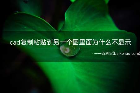 cad复制粘贴到另一个图里面为什么不显示