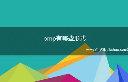 pmp有哪些形式(拓展:pmp考试费用多少)