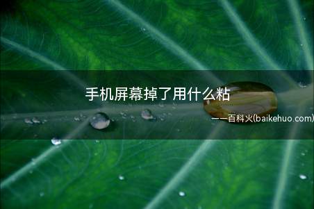 手机屏幕掉了用什么粘