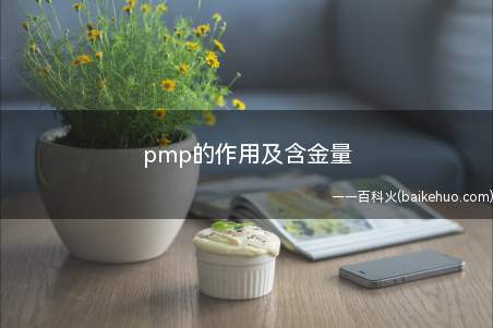 pmp的作用及含金量（pmp的作用及含金量是怎样的）