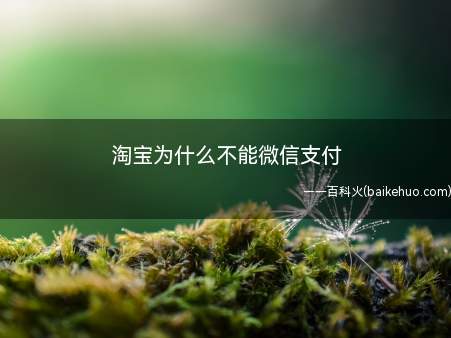 淘宝为什么不能微信支付