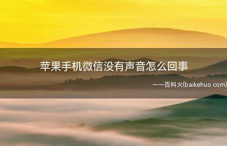 苹果手机微信没有声音怎么回事