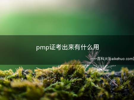 pmp证考出来有什么用