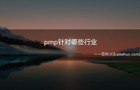 pmp针对哪些行业(pmp针对哪些行业我们一起了解一下吧)