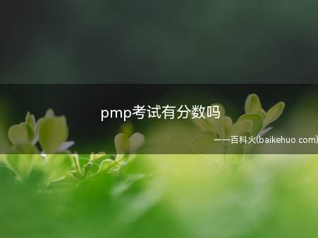 pmp考试有分数吗(pmp考试有分数吗让我们一起了解一下吧!)