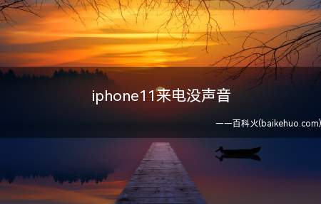 iphone11来电没声音(iphone11来电没声音的具体操作步骤)