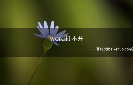 word打不开（ASUS S340MC系统）