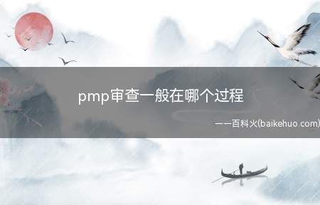 pmp审查一般在哪个过程