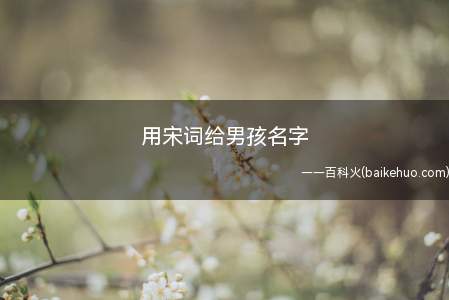 用宋词给男孩名字(用宋词给男孩的名字有哪些)