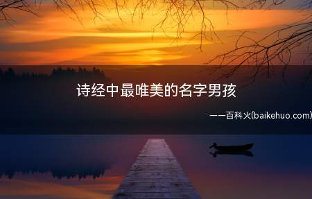 诗经中最唯美的名字男孩(诗经中唯美的男孩名字有哪些有需要的家长可以参考一二)