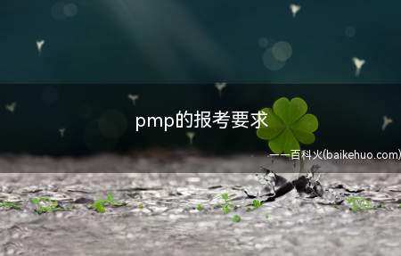 pmp的报考要求(pmp的报考要求是什么)