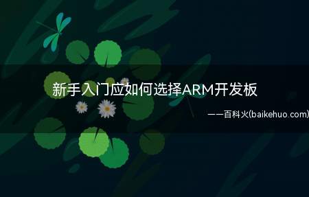 新手入门应如何选择ARM开发板