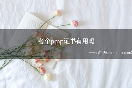考个pmp证书有用吗