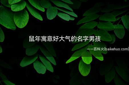 鼠年寓意好大气的名字男孩(鼠年寓意好大气的男孩用字推荐)