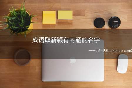 成语取新颖有内涵的名字(如何用成语取新颖有内涵的名字)