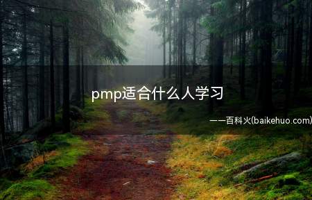 pmp适合什么人学习