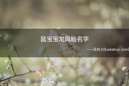 鼠宝宝龙凤胎名字(鼠宝宝龙凤胎名字有哪些一起看看吧!)