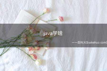 java学啥(java工程师薪资待遇普遍高于其他行业)