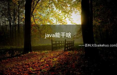 java能干啥(java能干啥让我们一起了解一下吧)