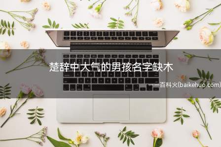 楚辞中大气的男孩名字缺木(楚辞中适合五行缺木男孩的大气名字有哪些)