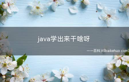 java学出来干啥呀