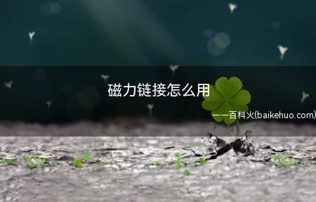 磁力链接怎么用（磁力链接怎么用电脑:）
