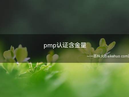 pmp认证含金量(pmp认证含金量怎样)