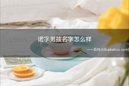 诺字男孩名字怎么样(诺字男孩名字怎么样内容)