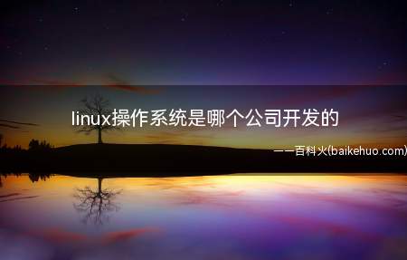 linux操作系统是哪个公司开发的