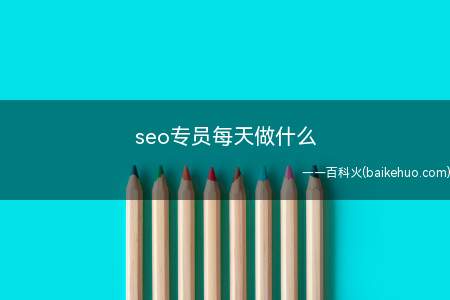 seo专员每天做什么