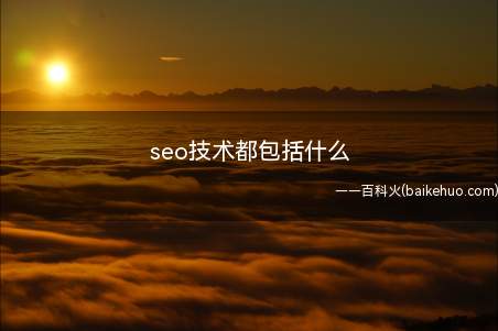 seo技术都包括什么