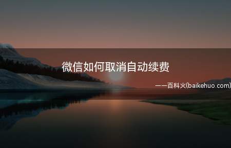 微信如何取消自动续费(iPhone 11系统)