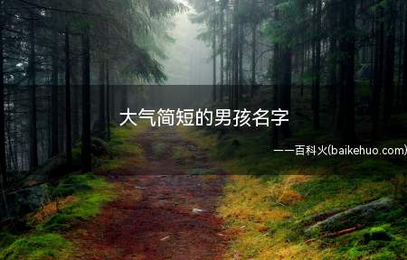 大气简短的男孩名字(大气简短的男孩名字有哪些)